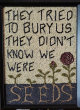 [Marta Shore They Didn't Know We Were Seeds image]